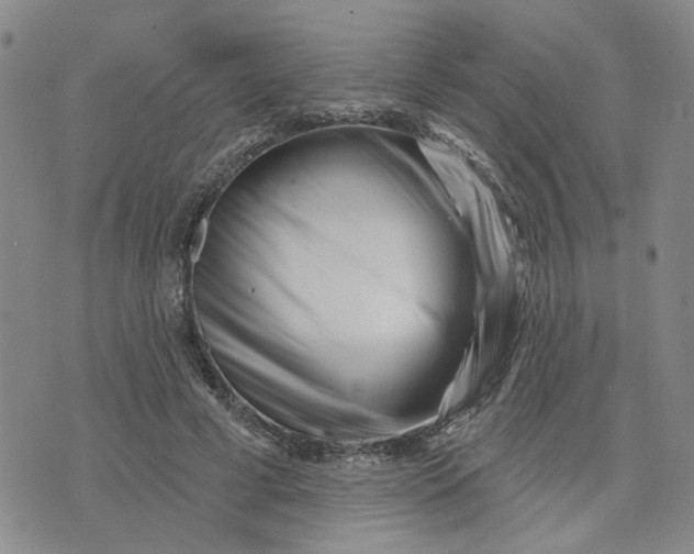 X0000075350593200609251039