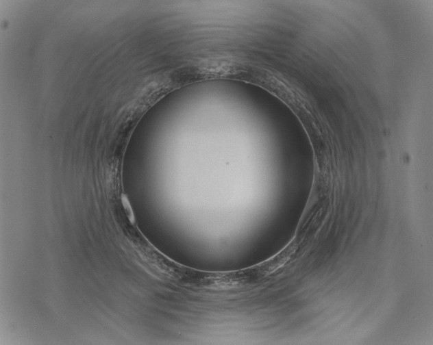 X0000075350601200609251039