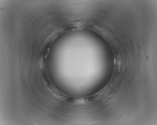 X0000075350611200609251038