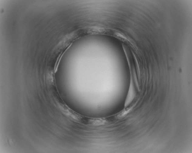 X0000075350621200609251038