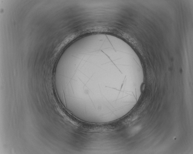 X0000075350625200609251037