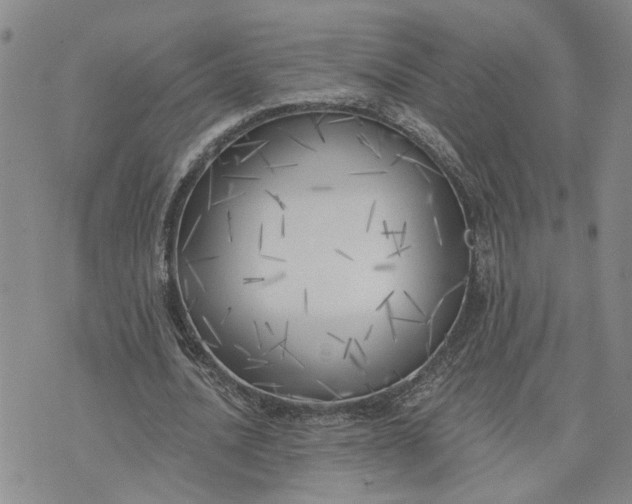 X0000075350628200609251037