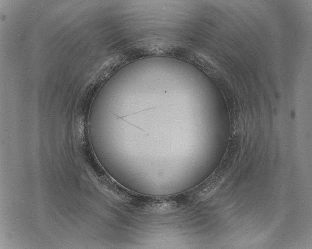 X0000075350646200609251038