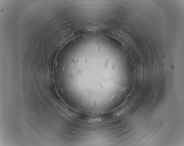 X0000075350653200609251038