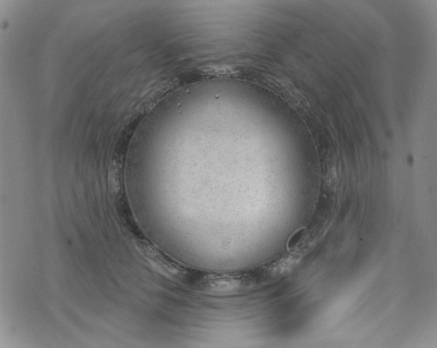 X0000075350658200609251038