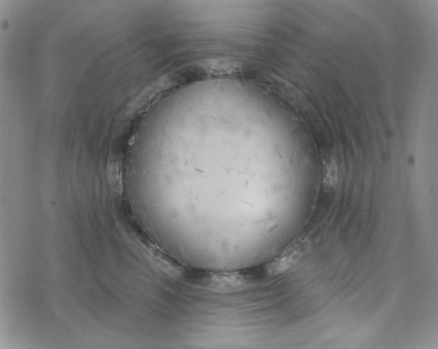 X0000075350666200609251038
