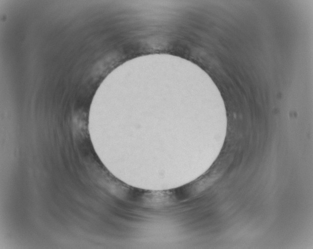 X0000075350672200609251038