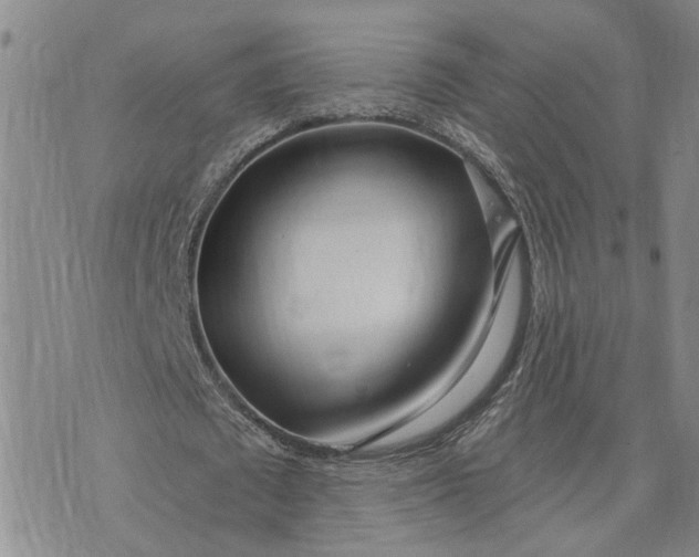 X0000075350673200609251037