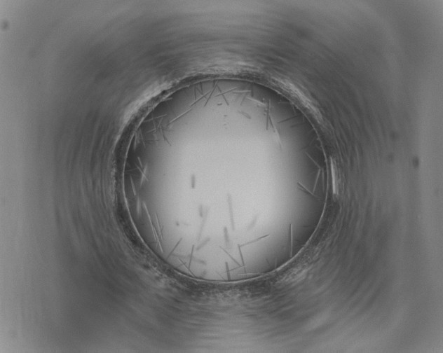 X0000075350675200609251037