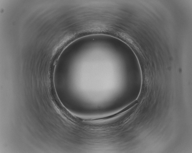 X0000075350677200609251037