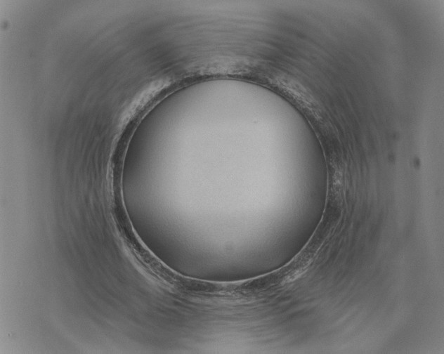X0000075350678200609251037