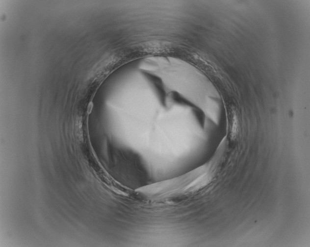 X0000075350696200609251037