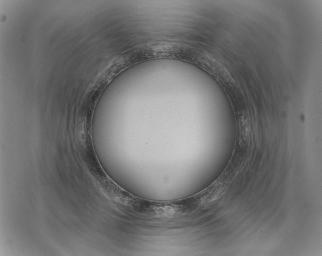 X0000075350698200609251037