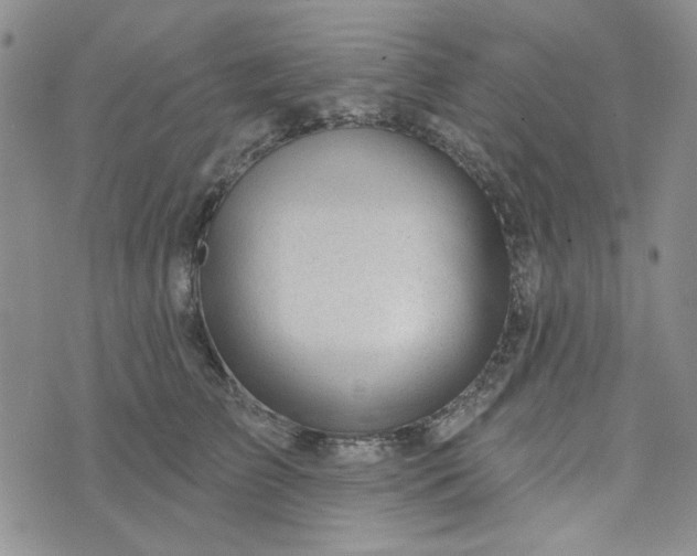 X0000075350709200609251037