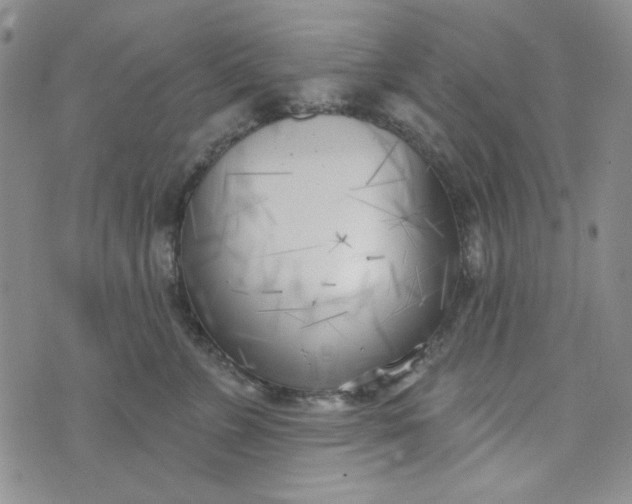 X0000075350715200609251037