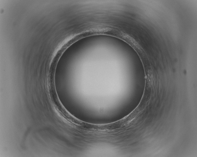 X0000075350726200609251036