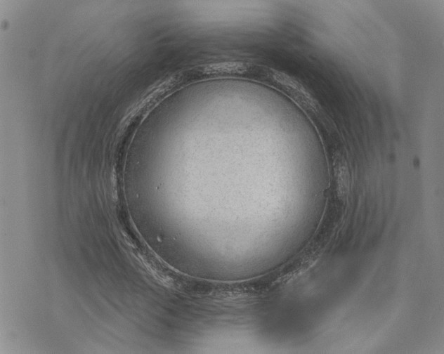 X0000075350729200609251036