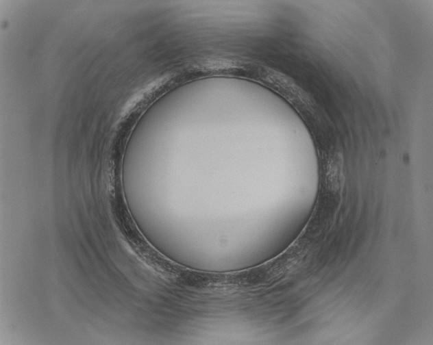 X0000075350732200609251036