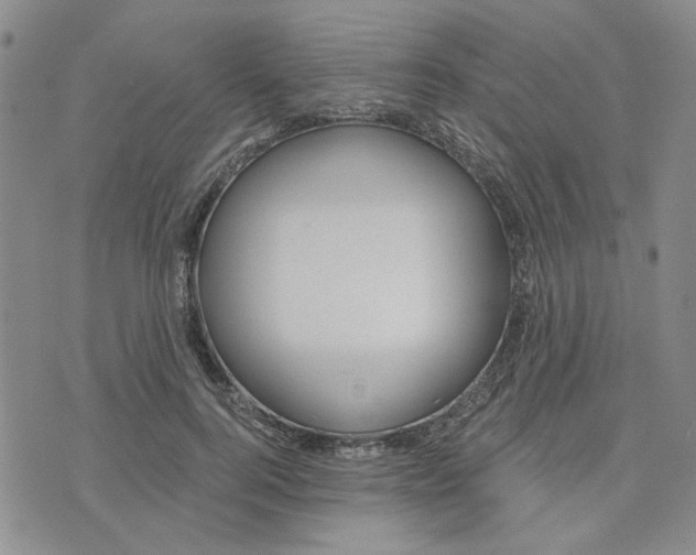 X0000075350744200609251036