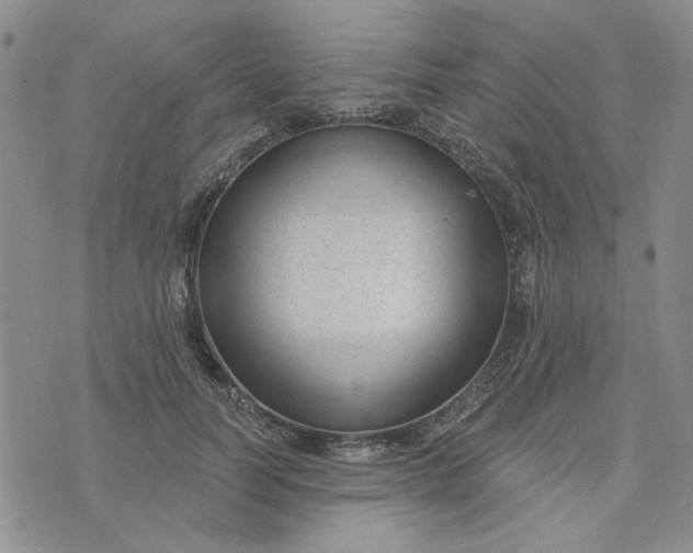 X0000075350746200609251036