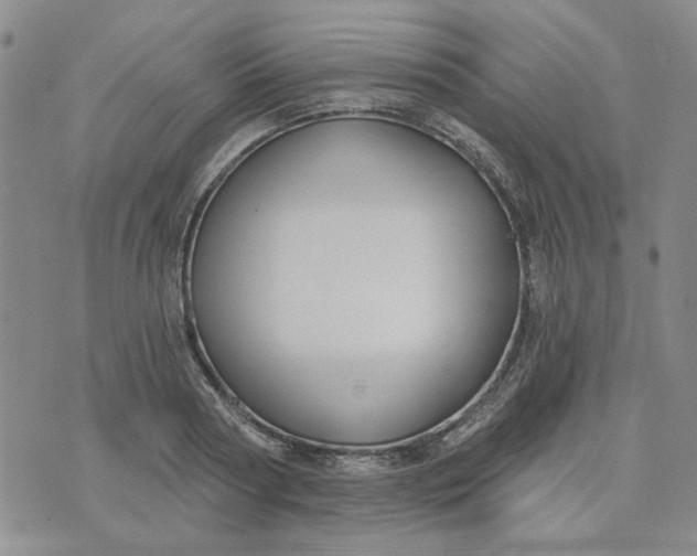 X0000075350794200609251035