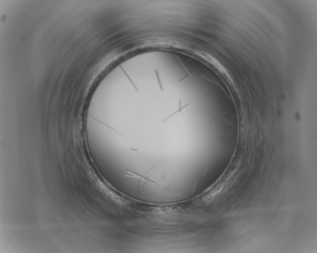 X0000075350799200609251035