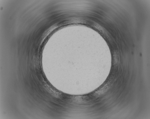 X0000075350828200609251034