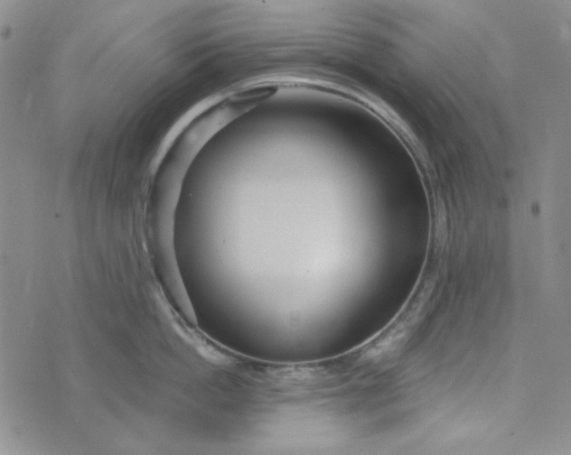 X0000075350862200609251035