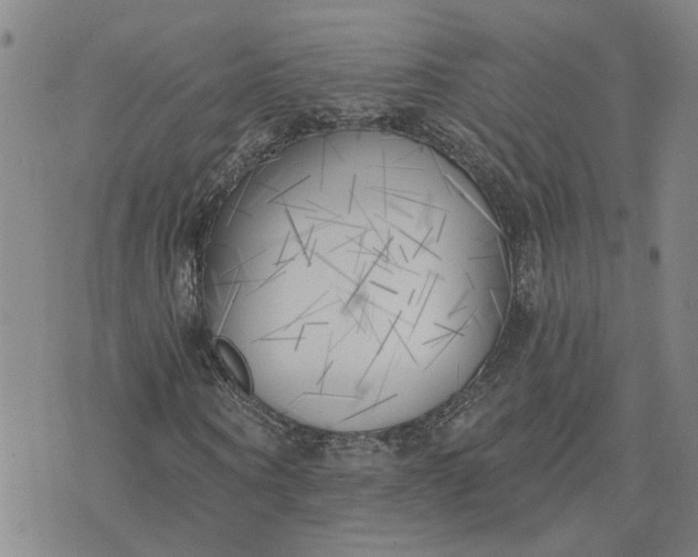 X0000075350866200609251034