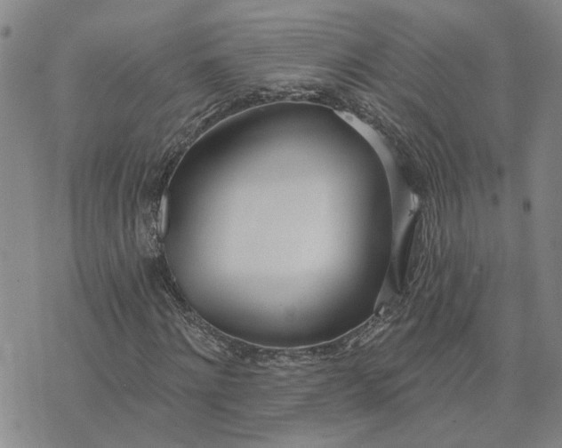 X0000075350868200609251034