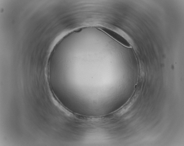 X0000075350958200609251033