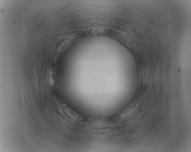 X0000075350962200609251033