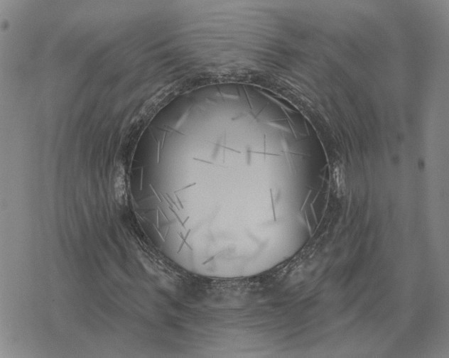 X0000075350963200609251033
