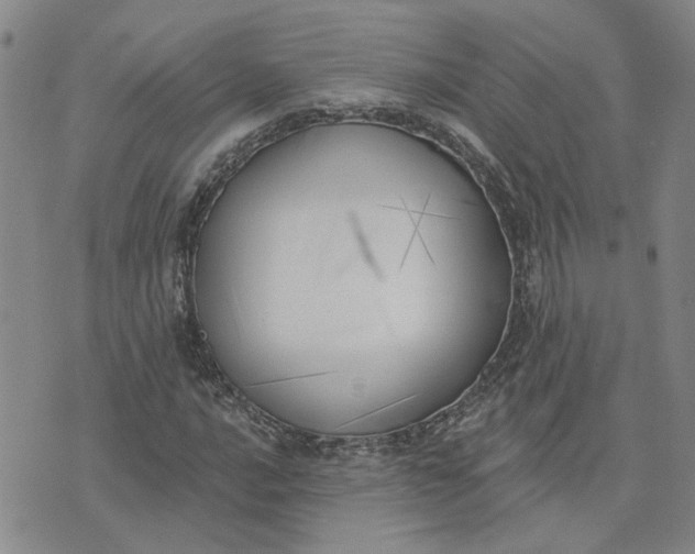 X0000075351016200609251031