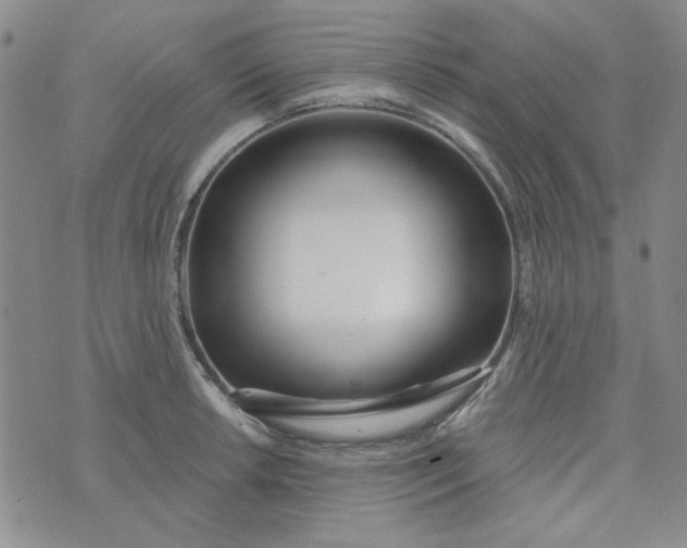 X0000075351042200609251032