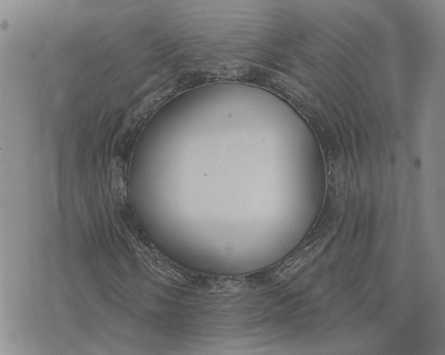 X0000075351058200609251031
