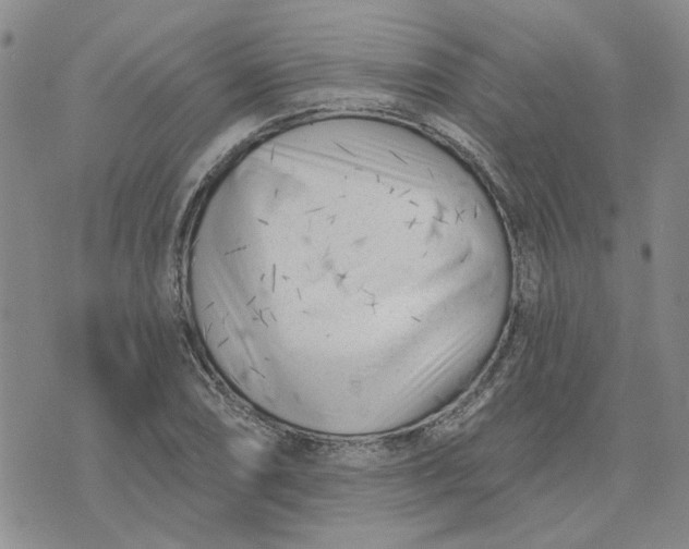 X0000075351074200609251031