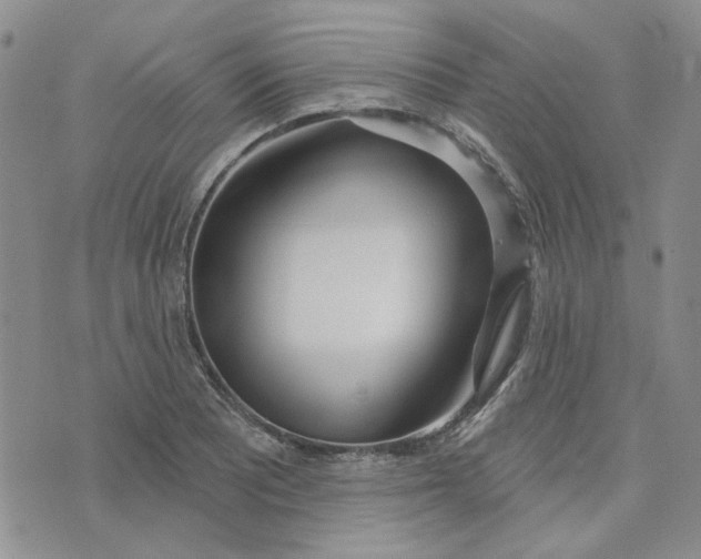 X0000075351081200609251031