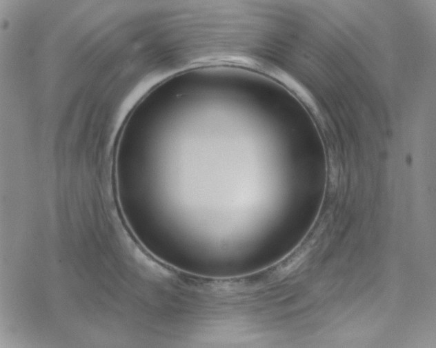 X0000075351102200609251030