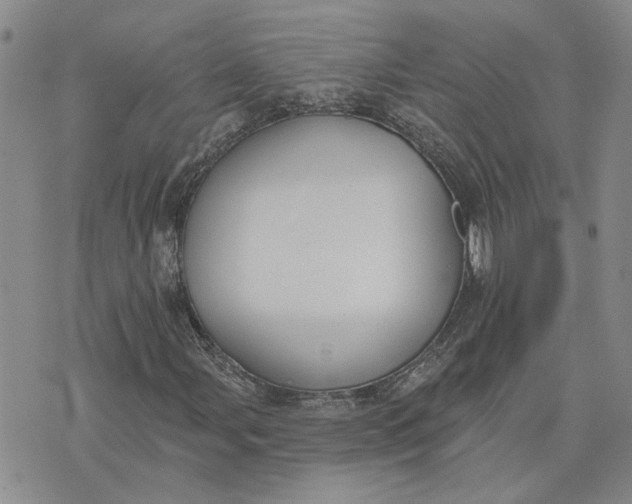 X0000075351107200609251030