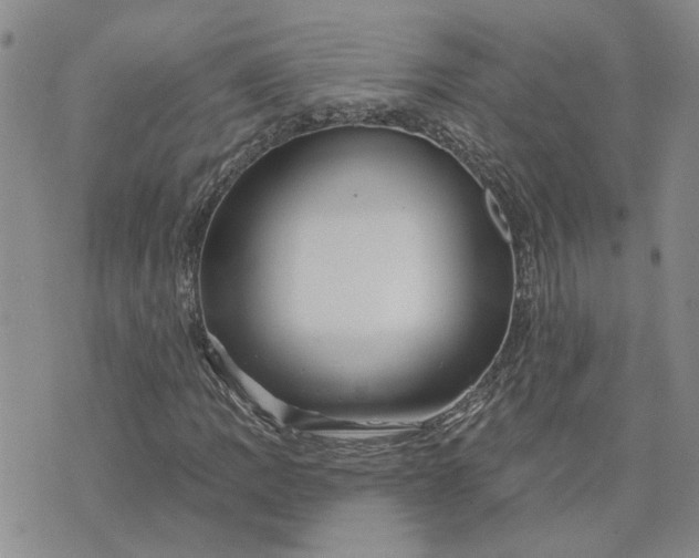 X0000075351109200609251030