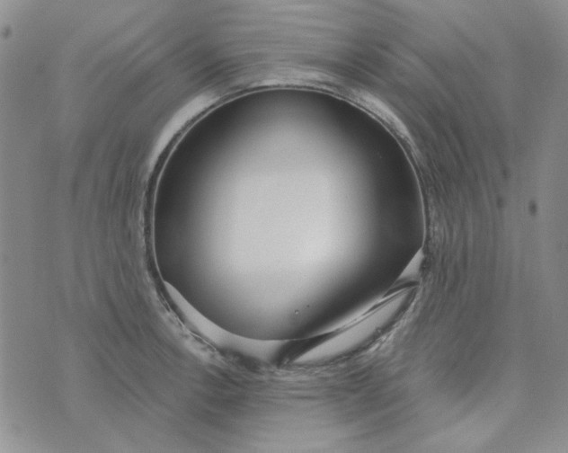 X0000075351138200609251030