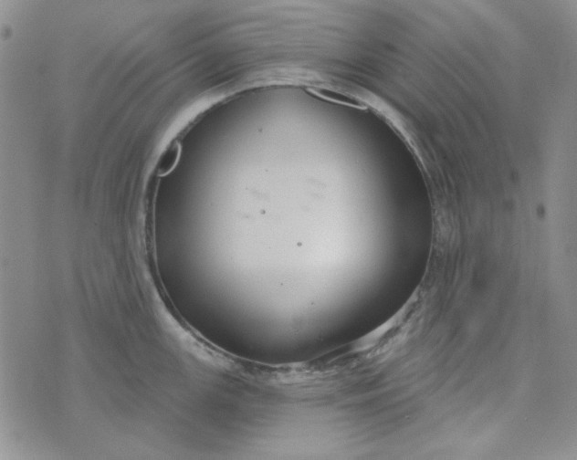 X0000075351147200609251030