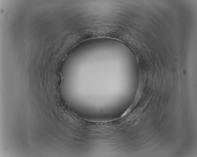 X0000075351153200609251030