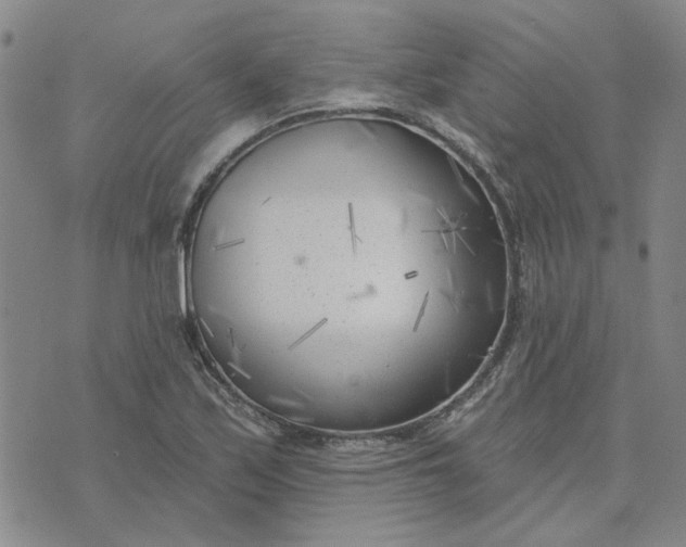 X0000075351171200609251029