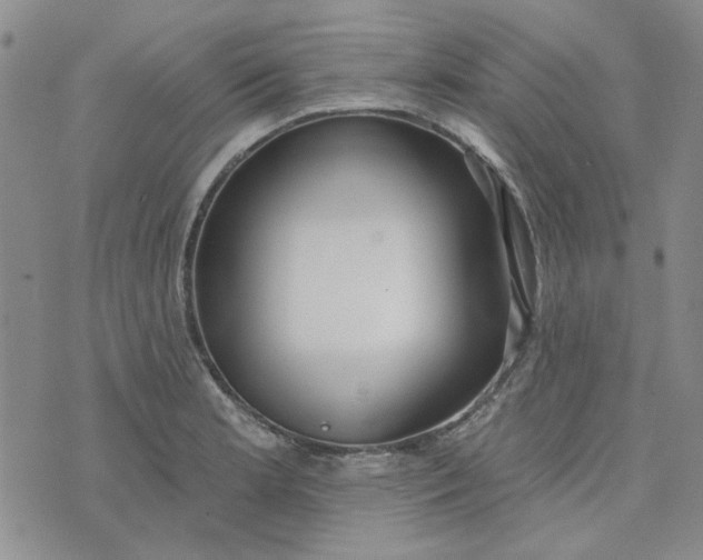 X0000075351181200609251029