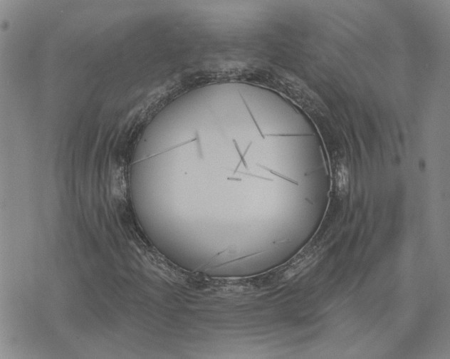 X0000075351204200609251028