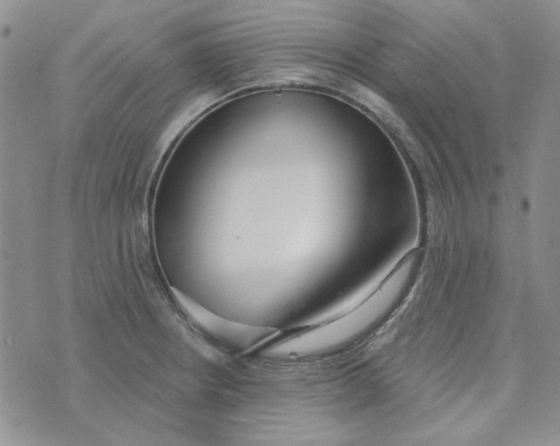 X0000075351234200609251029