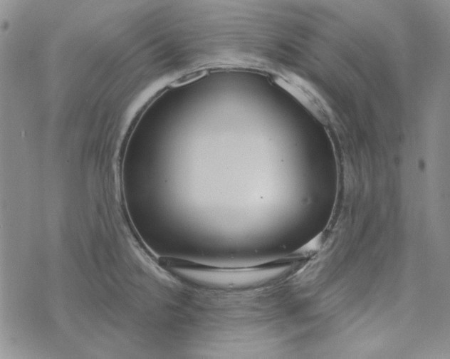 X0000075351238200609251029