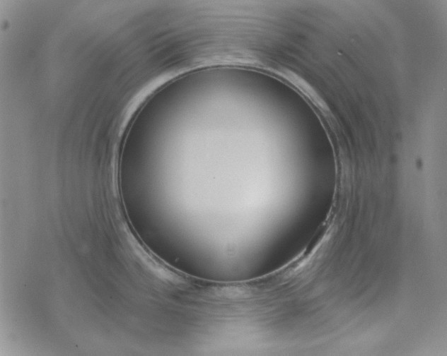 X0000075351246200609251029